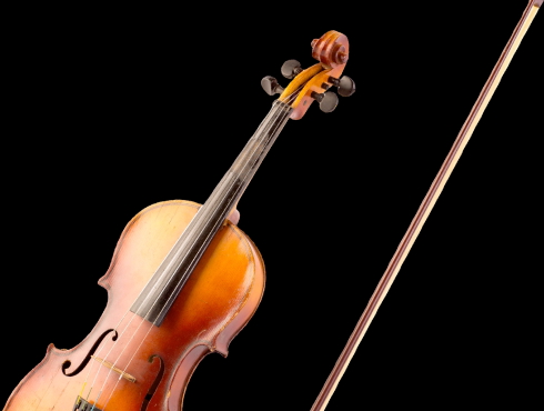 Viola image